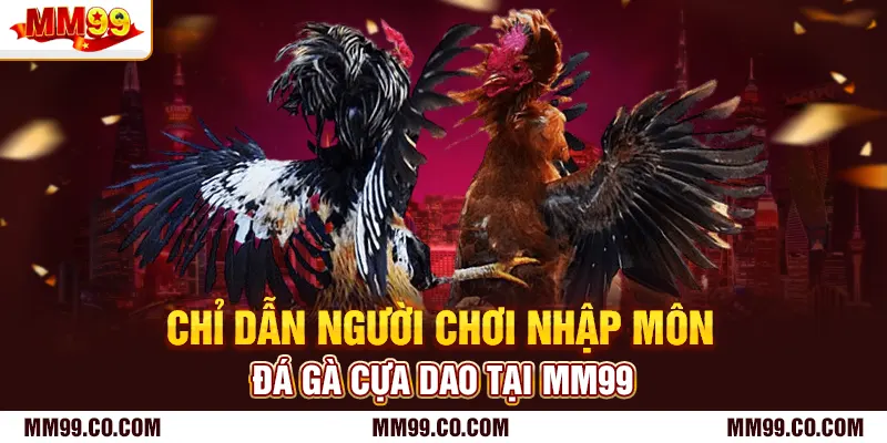 Chỉ dẫn người chơi nhập môn đá gà cựa dao tại mm99
