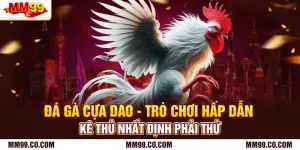 Đá Gà Cựa Dao - Trò Chơi Hấp Dẫn Kê Thủ Nhất Định Phải Thử
