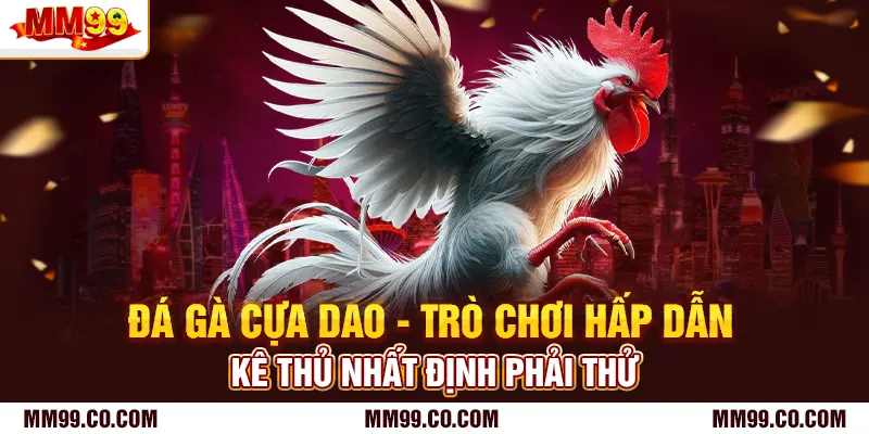 Đá Gà Cựa Dao - Trò Chơi Hấp Dẫn Kê Thủ Nhất Định Phải Thử