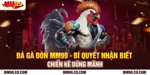 Đá Gà Đòn Mm99 - Bí Quyết Nhận Biết Chiến Kê Dũng Mãnh
