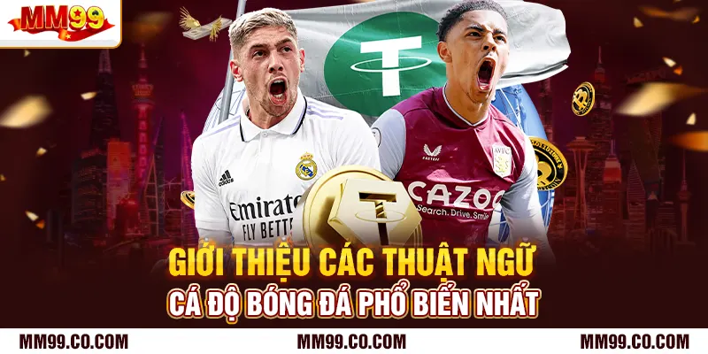 Giới thiệu các thuật ngữ cá độ bóng đá phổ biến nhất