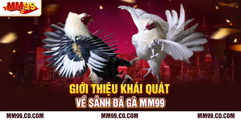 Giới thiệu khái quát về sảnh đá gà mm99