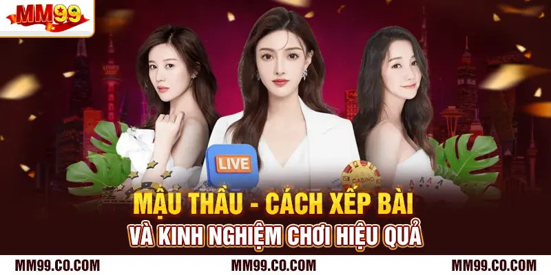 Mậu Thầu - Cách Xếp Bài Và Kinh Nghiệm Chơi Hiệu Quả