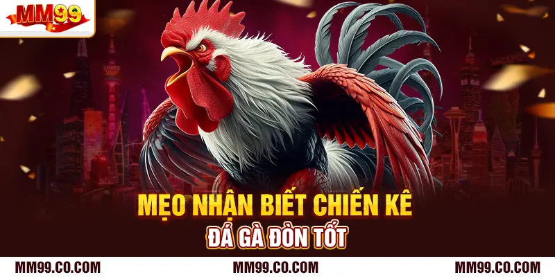 Mẹo nhận biết chiến kê đá gà đòn tốt