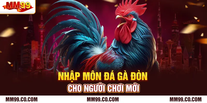 Nhập môn đá gà đòn cho người chơi mới