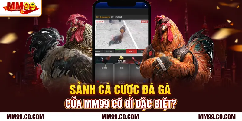 Sảnh cá cược đá gà của mm99 có gì đặc biệt?