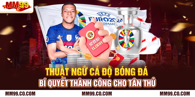 Thuật Ngữ Cá Độ Bóng Đá - Bí Quyết Thành Công Cho Tân Thủ