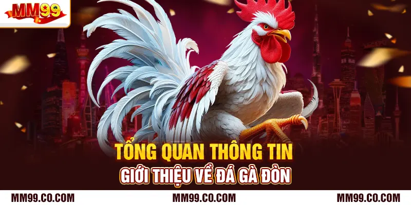Tổng quan thông tin giới thiệu về đá gà đòn